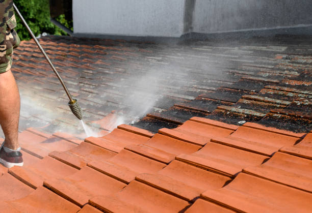 Best House Pressure Washing  in Green Oaks, IL