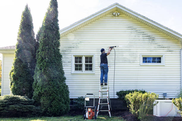 Best Roof Pressure Washing  in Green Oaks, IL